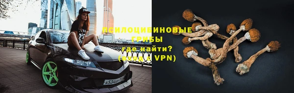 мескалин Покров