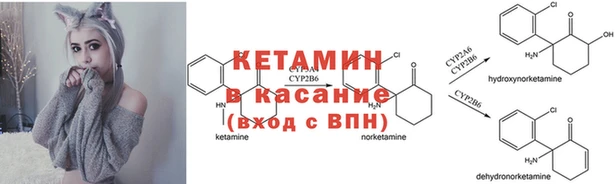 прущая мука Армянск