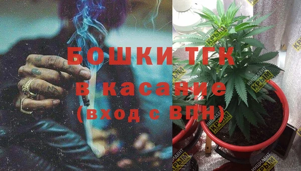 ПСИЛОЦИБИНОВЫЕ ГРИБЫ Аркадак