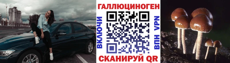 наркошоп  Приморск  Псилоцибиновые грибы мицелий 